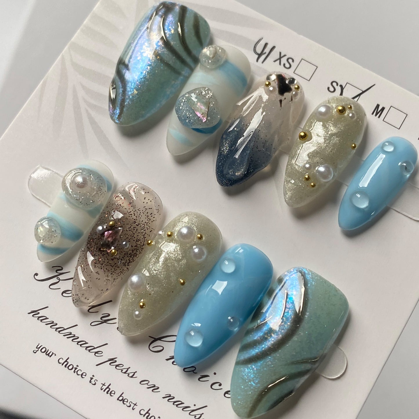 Coquillages de bord de mer