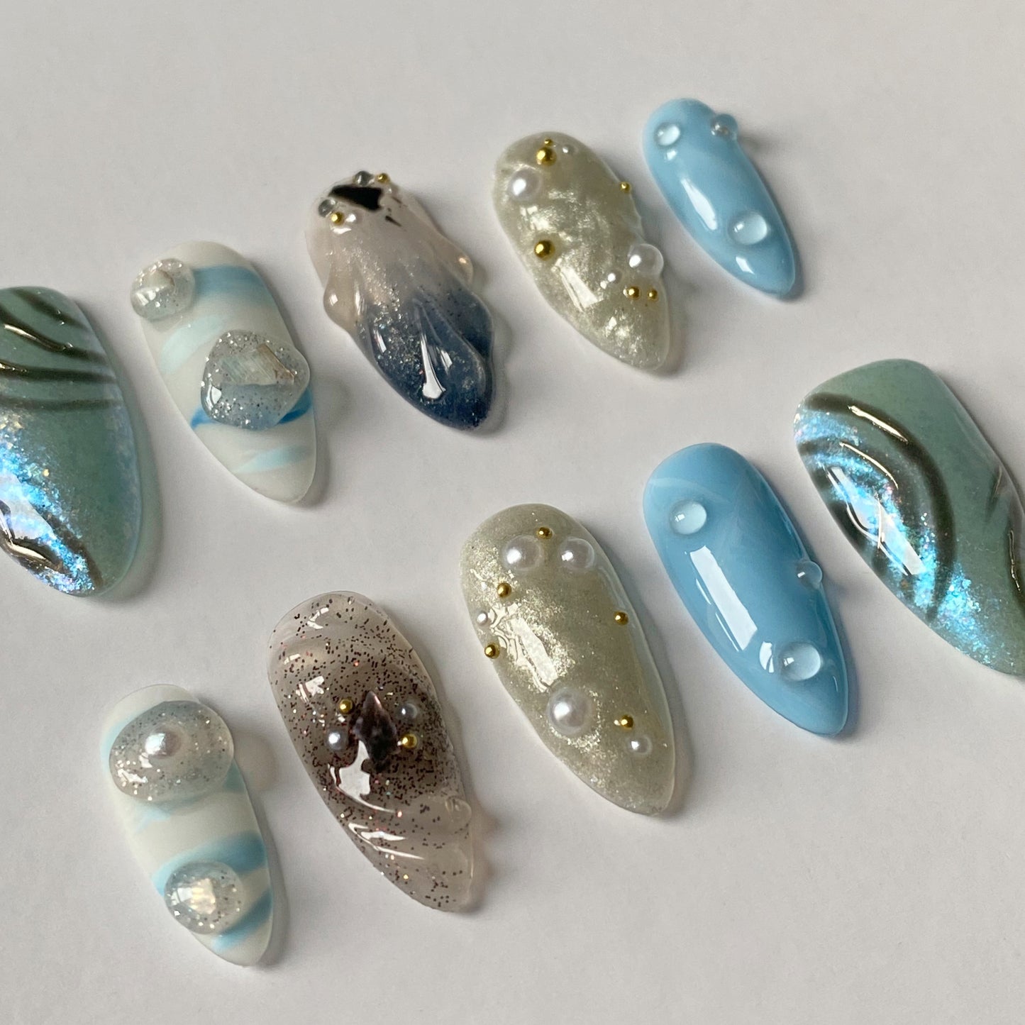 Coquillages de bord de mer