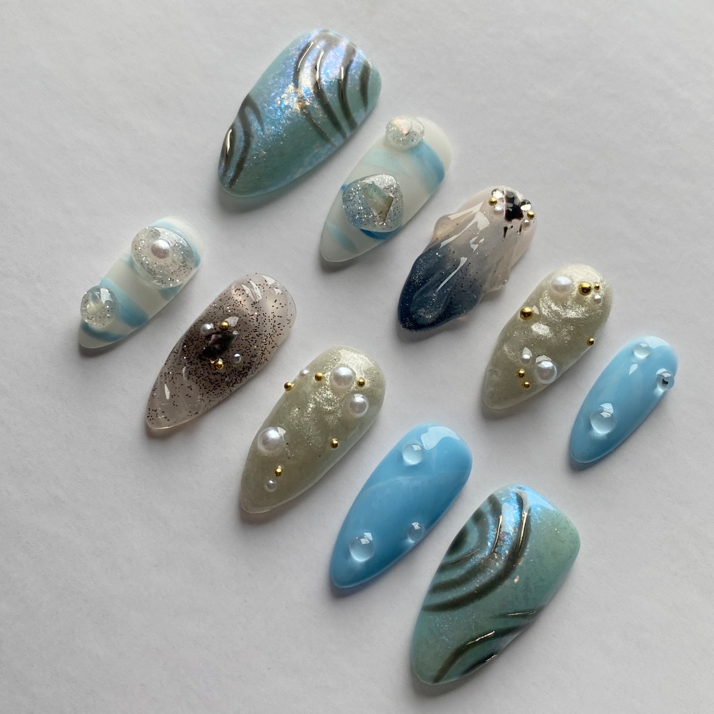 Coquillages de bord de mer
