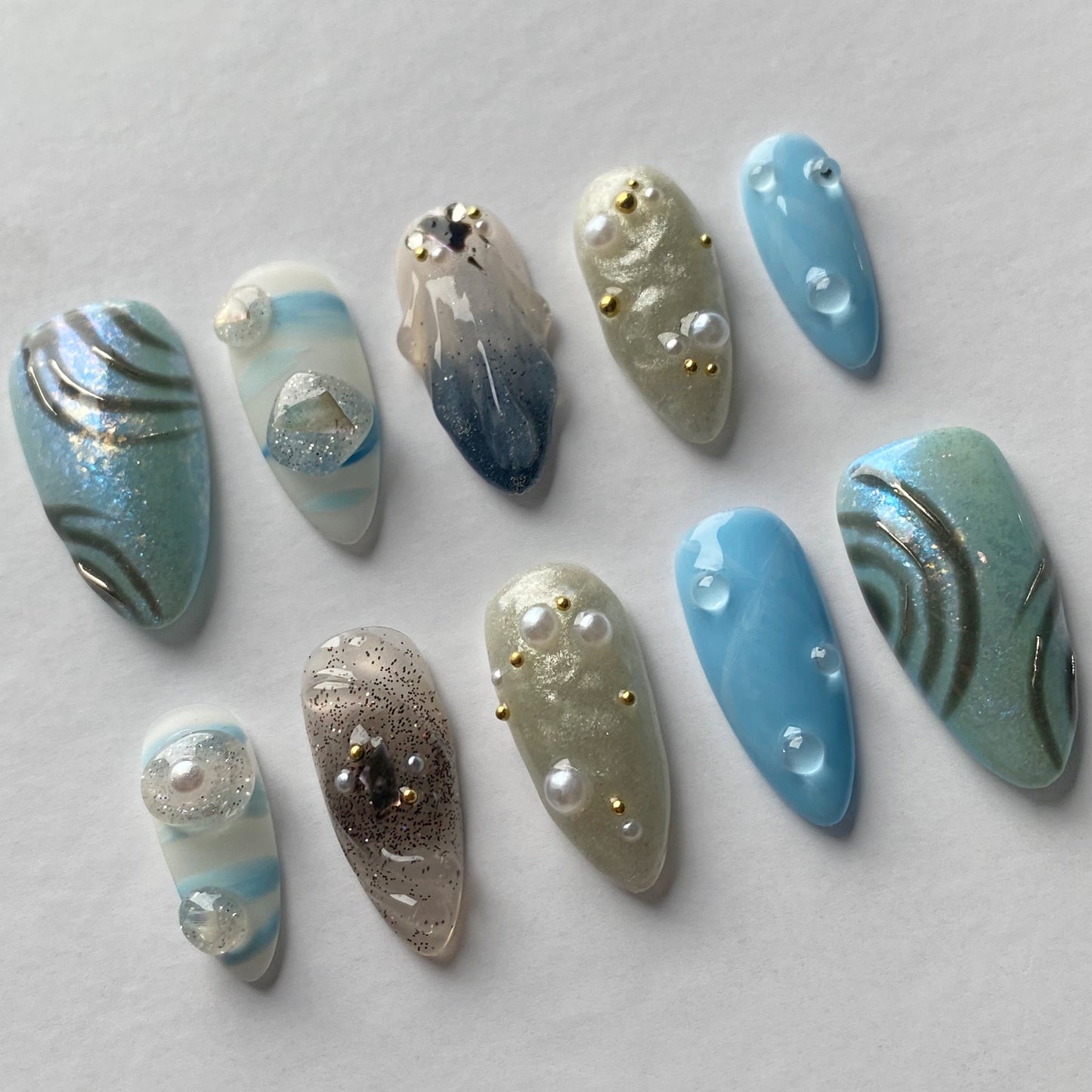 Coquillages de bord de mer